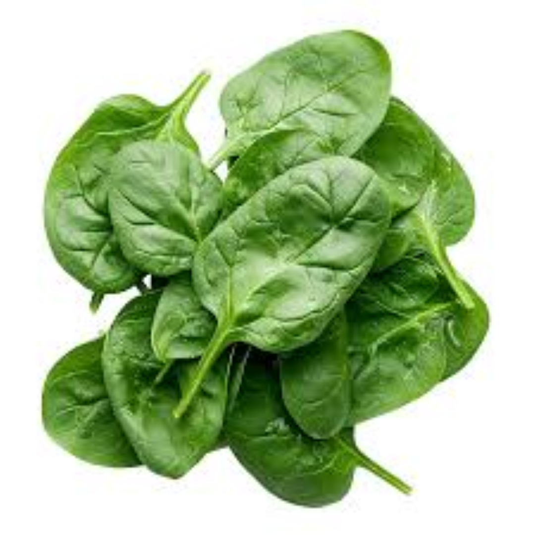 FRESH PALAK